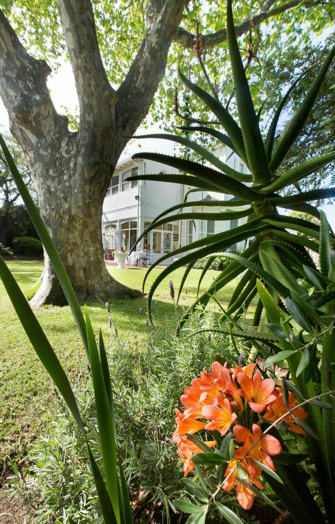 فندق Brooklands House كيب تاون المظهر الخارجي الصورة